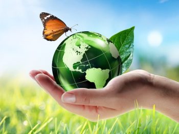 Exterior Cleaning Unlimited Eco Friendly