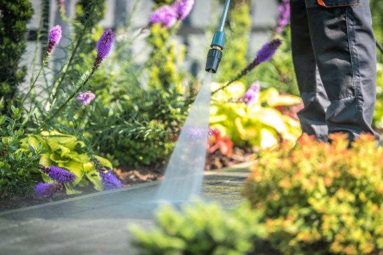 Exterior Cleaning Unlimited Green Garden