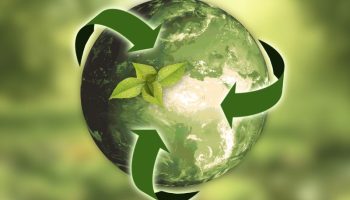 Exterior Cleaning Unlimited Eco-Friendly Chemicals