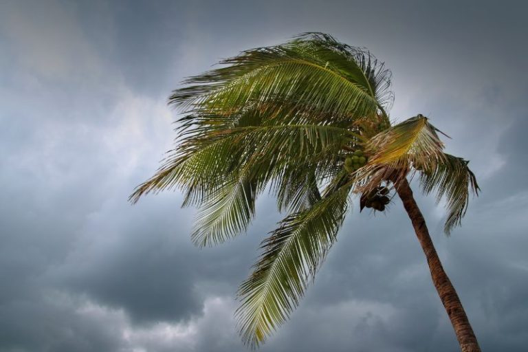 Exterior Cleaning Unlimited Hurricane