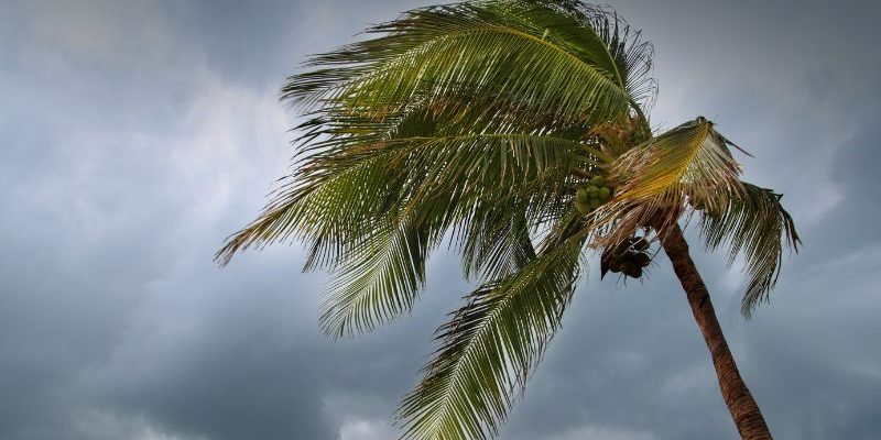 Exterior Cleaning Unlimited Hurricane