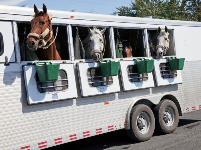 Exterior Cleaning Unlimited Horse Trailer