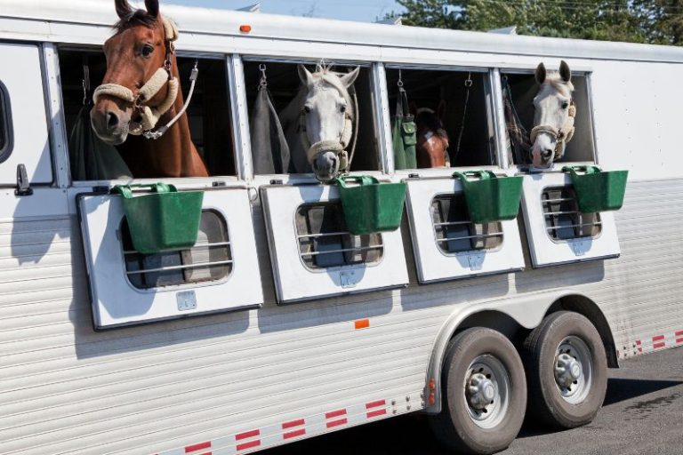 Exterior Cleaning Unlimited Horse Trailer