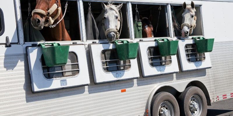 Exterior Cleaning Unlimited Horse Trailer