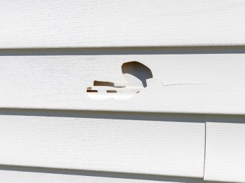 Exterior Cleaning Unlimited Siding Damage