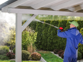 Exterior Cleaning Unlimited Porch Roof