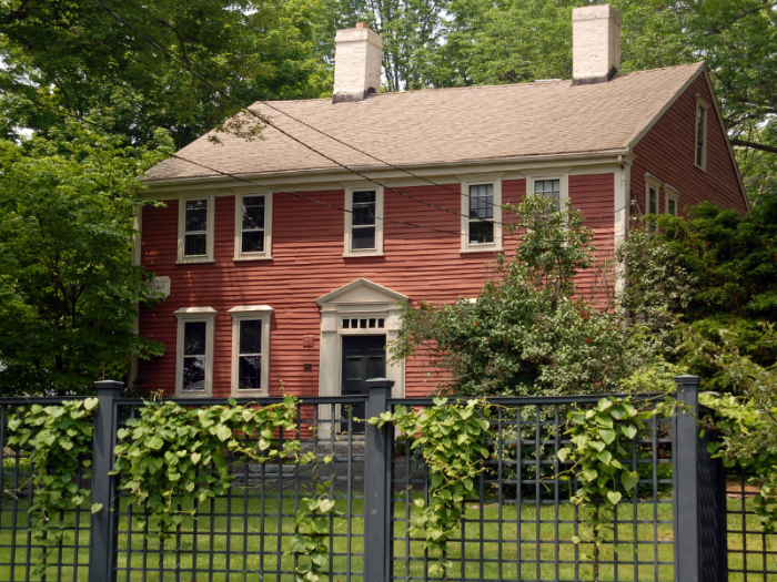 Exterior Cleaning Unlimited Ivy & Foliage