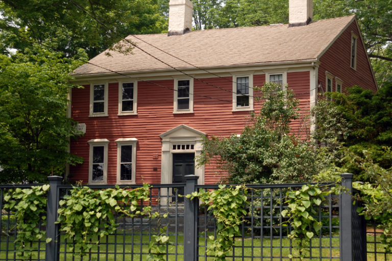 Exterior Cleaning Unlimited Ivy & Foliage