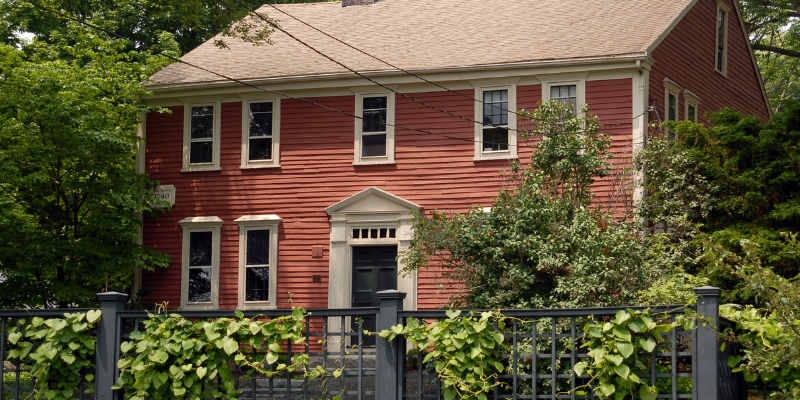 Exterior Cleaning Unlimited Ivy & Foliage