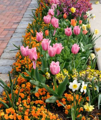 Exterior Cleaning Unlimited Pristine Garden