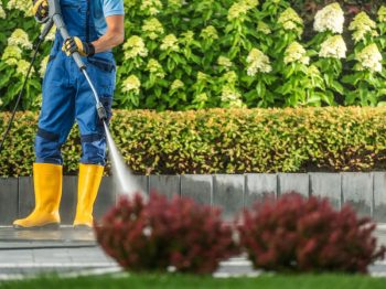 Exterior Cleaning Unlimited Shrubbery