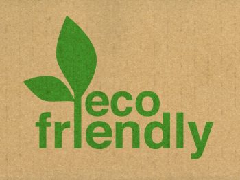 Exterior Cleaning Unlimited Kids Eco-Friendly