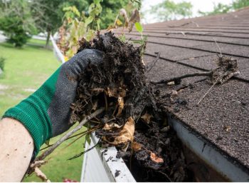 Exterior Cleaning Unlimited Gutter Cleaning