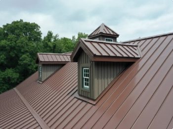 Exterior Cleaning Unlimited Metal Roof